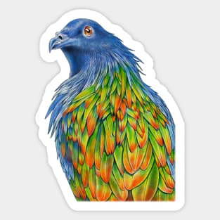 Nicobar Pigeon Sticker